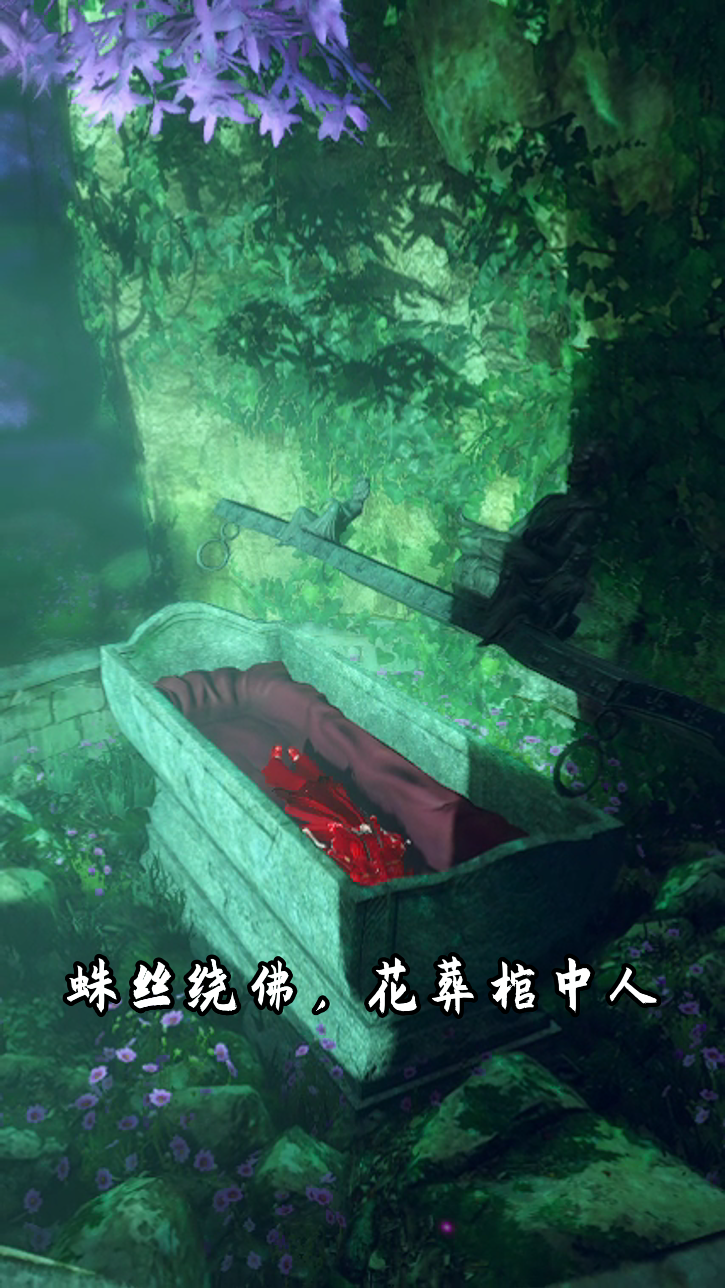 蛛网缠佛，花葬棺中人，是劫还是缘？
