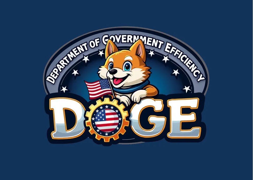 获特朗普任命，马斯克公布政府效率部新logo