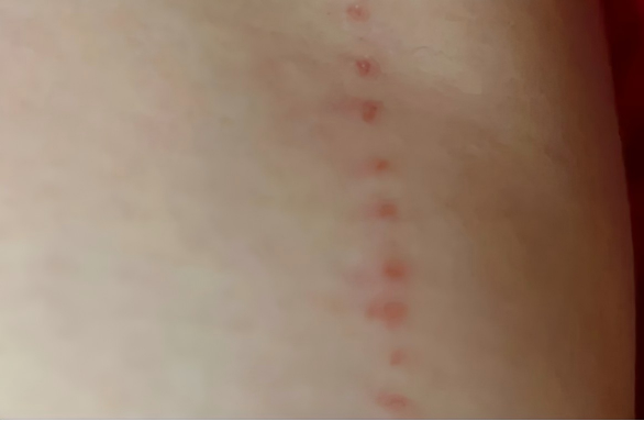 “数了数，九个，你老公出轨labubu了”