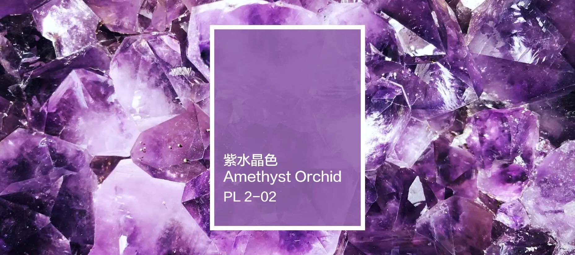 色彩密码18 | 高雅水晶紫，一见倾心，施展浪漫魔法