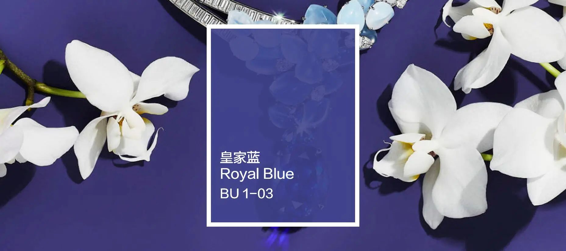 色彩密码15 | 华丽皇家蓝，至臻奢华，演绎高雅艺术