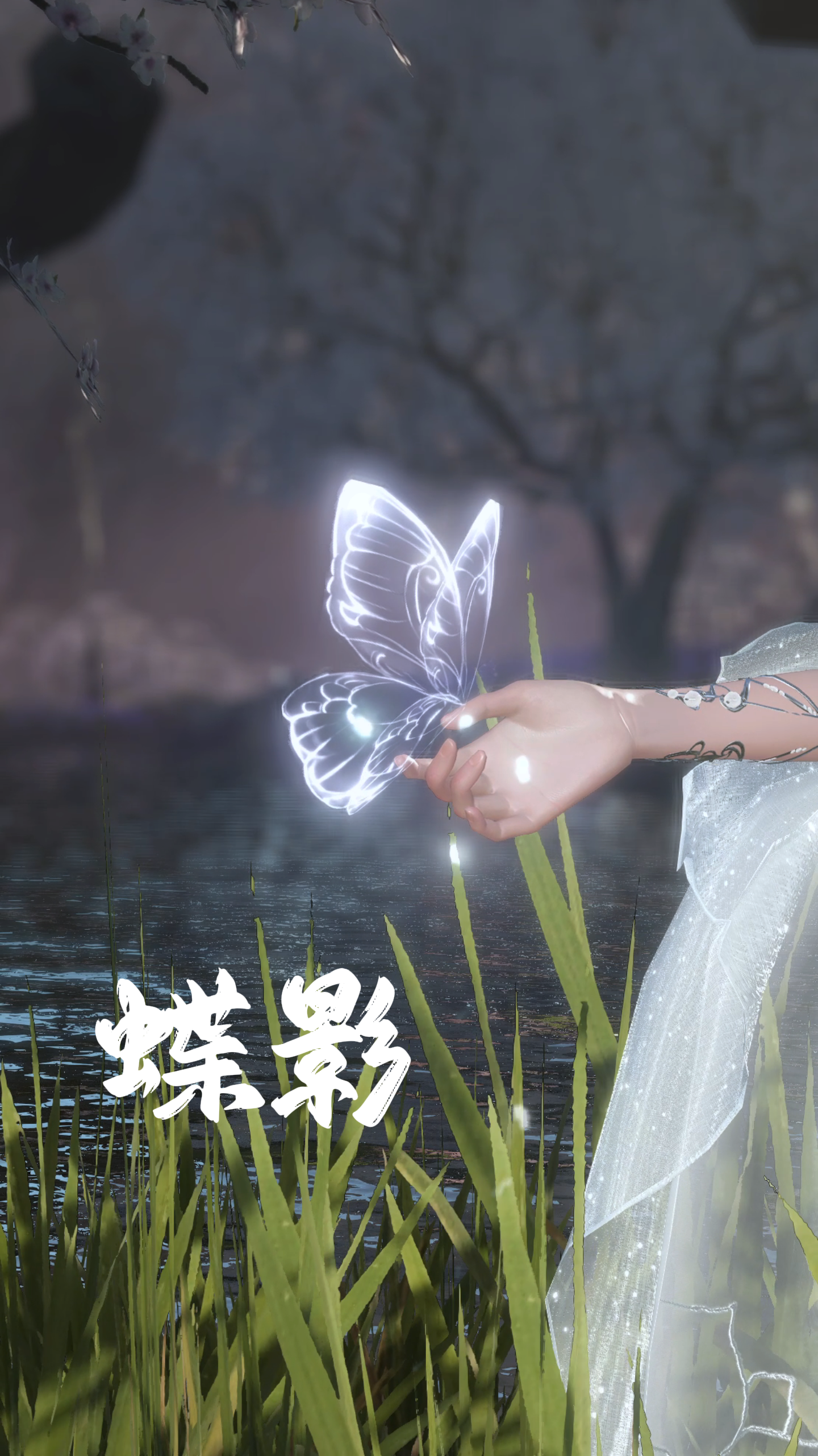 林间蝶影,邂逅一场梦幻之旅