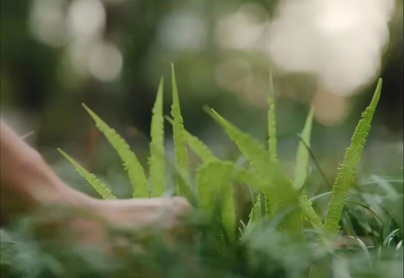 这是今年看过最好的平面创意