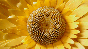 uploads/0512/168387988451951599.gif