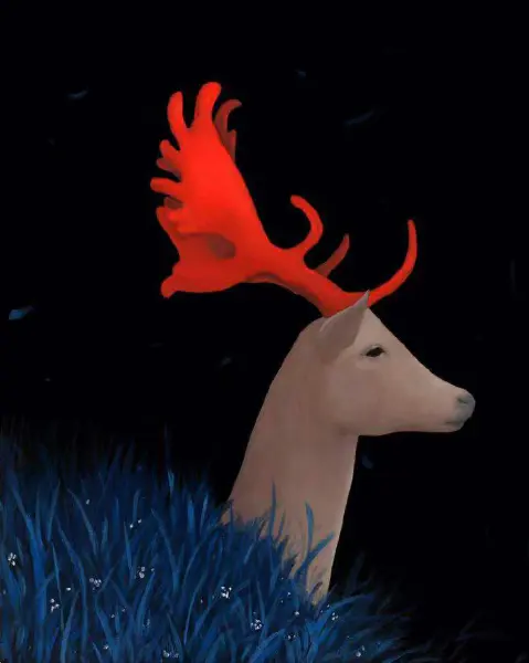 19.png
