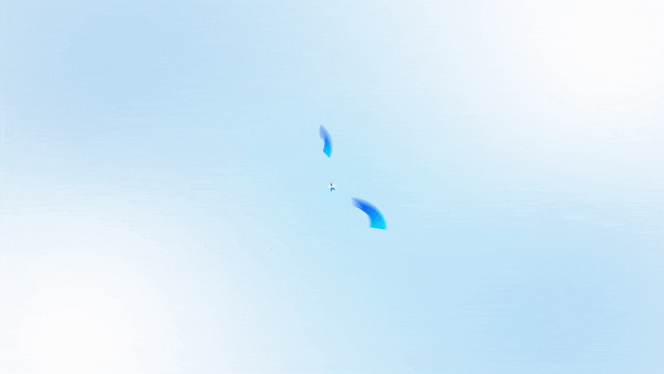 8.gif