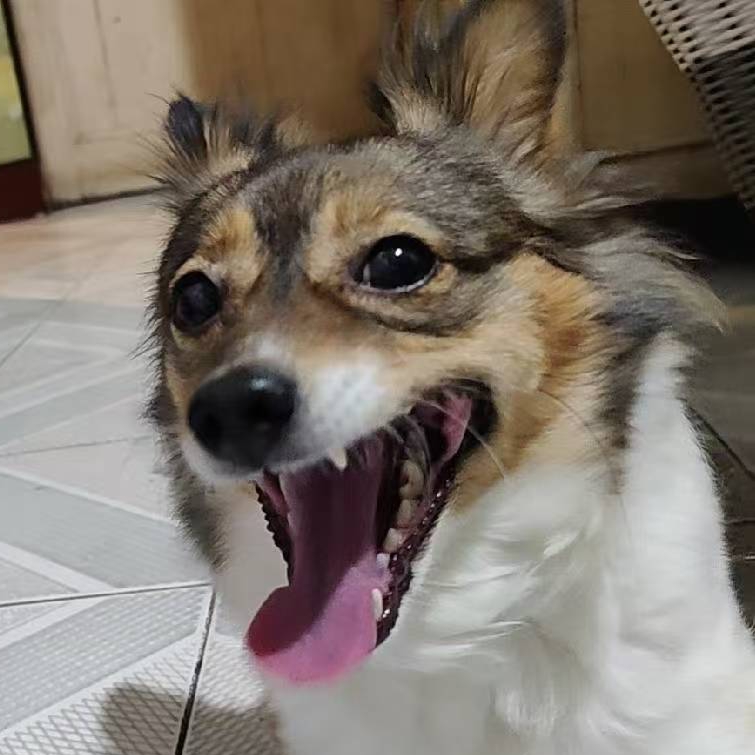 七月七日晴